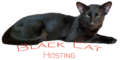 Black Cat Hosting 2024 Logo