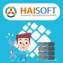 Haisoft 2024 Logo