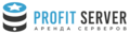 Profit Server 2024 Logo