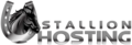 Stallion Hosting 2024 Logo