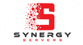 Synergy Servers 2024 Logo